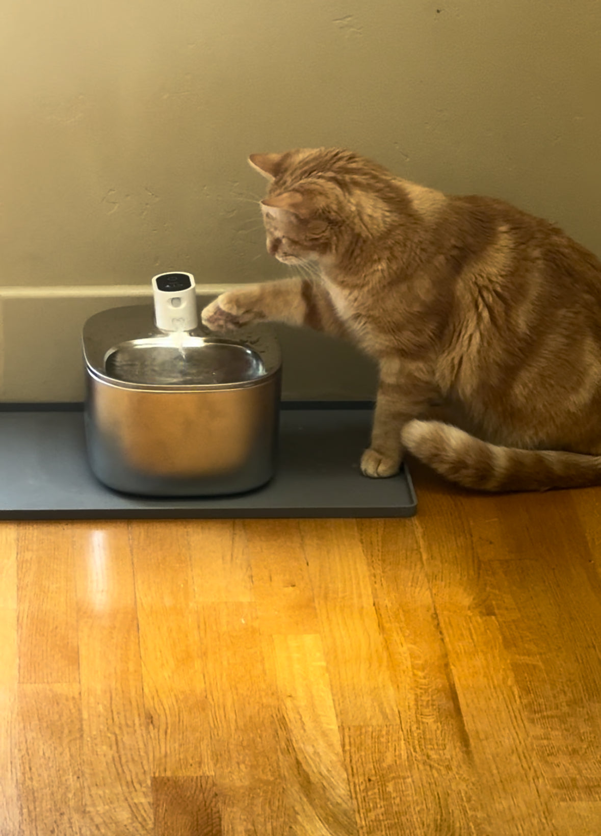 Pet Hydration Fountain™