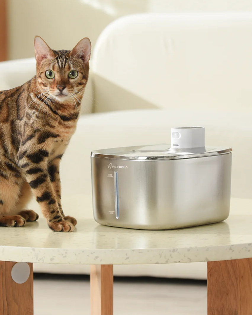 Pet Hydration Fountain™