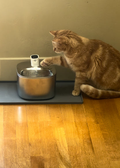Pet Hydration Fountain™